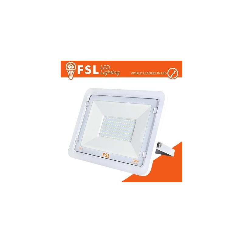 Proiettore per esterni Bianco 100W - IP65 115° 6500K