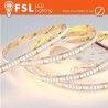 Striscia LED 5m IP20 2835 24V - 16W/m 240led/m 6500K