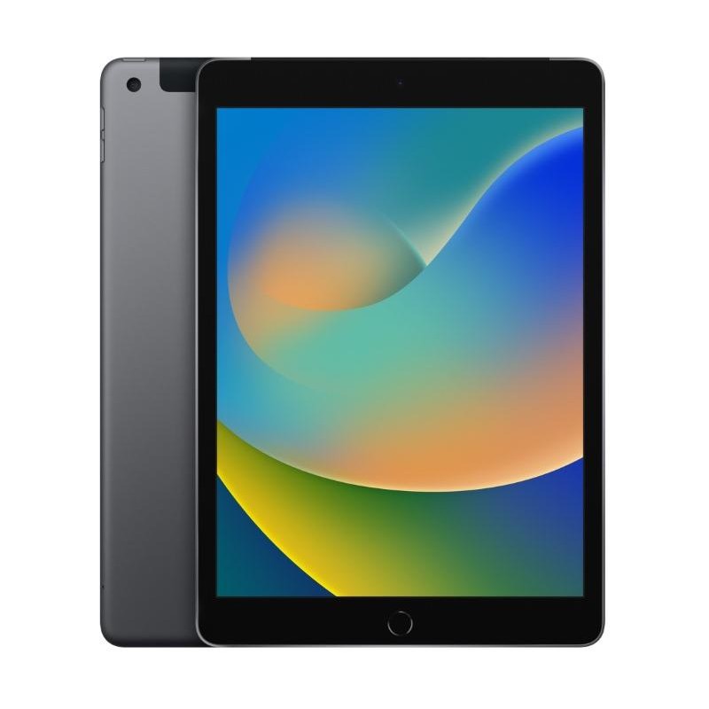 Apple iPad 9 A2603 2021 10.2'' 64GB Grey 4G Usato Grado A